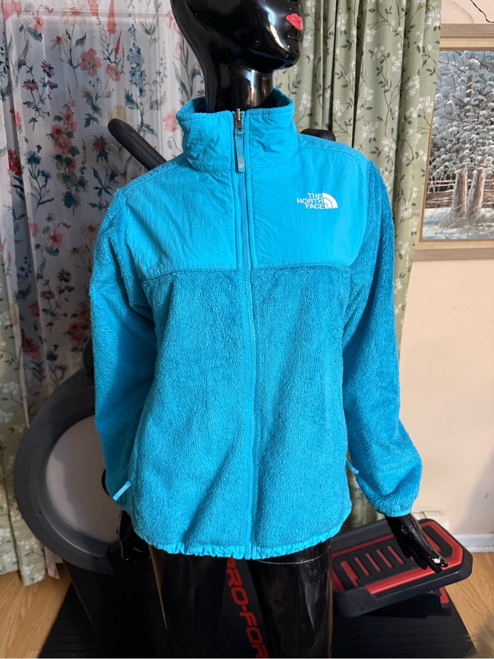 The North Face Women's Aqua Blue Teddy Fleece Jacket